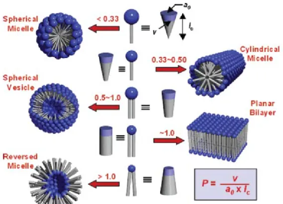 Figure 1-7. Various self-assembled morphologies depending on the critical  packing parameter (P) of each lipid