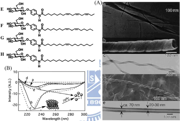 Figure 1-10. A) EF-TEM and SEM images of the self-assembled morphologies  from (a) G, (b and c) F, and (d and e) E