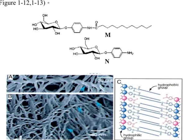 Figure 1-11. (A and B) FE-SEM images of the xerogel prepared from the  mixed gel of M and N (M/N = 1:1 w/w) in water-methanol (10:1 v/v)