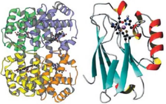 Figure 1.1 Molecular structures consisting of non-covalent bonds: such as metal  bonds, ionic forces, and H-bonds