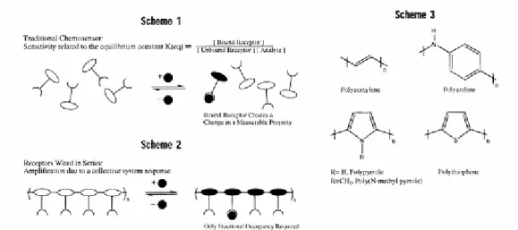 Figure 1.4 (a) Scheme 1, a chemosensor is composed of two functional elements, a  receptor and a reporter group, which need not be separate in identity, (b) this account  describes an approach to enhancing the sensitivity of chemosensors in effect by 