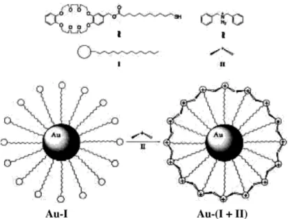 Figure 1.5 Programmed pseudorotaxane assembly at the surface of AuNPs by  heterosupramolecular chemistry