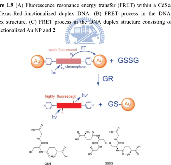 Figure 1.10 Schematic presentation of reversion process from oxidized to reduced  glutathione based on the modulation in photoluminescent quenching efficiency  between chromophore and AuNPs