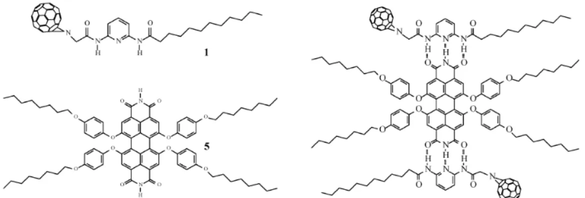 Figure 1.11 Superstructure of self-assembly of [60]fullerene derivative  1 with  perylene bisimide 5 by H-bonding