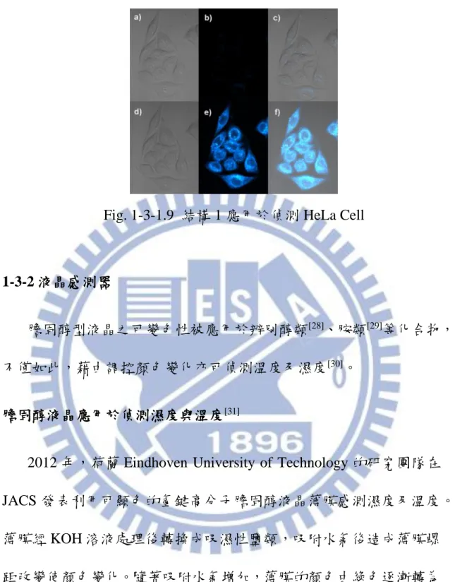 Fig. 1-3-1.9  結構 1 應用於偵測 HeLa Cell 