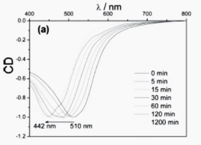 Fig. 1-3-2.8 Mixture1 浸泡於 0.01M Ba(ClO 4 ) 2 (aq) 時間對波長變化          感測器需具有選擇性，由 Fig.1-3-2.9 可知 Mixure 1 對於 Ba 2+ 的 偵測較 K + 靈敏，其波長變化範圍較廣，而 Mixture 1  與 Mixture 2 兩 種薄膜浸泡於相同的 Ba 2+ 水溶液中的比較，可得知 Mixture 2 因為高 分子聚合度較高，阻止螺旋的變化，使範圍變化較小。 