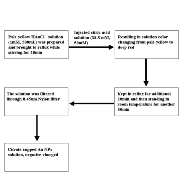 Figure 2.1 The flow diagram for preparing the citrate-capped Au NPs solution 