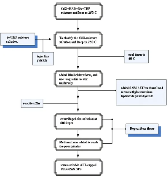 Figure 2.5 The flow diagram for preparing the AET-capped CdSe/ZnS QDs solution. 