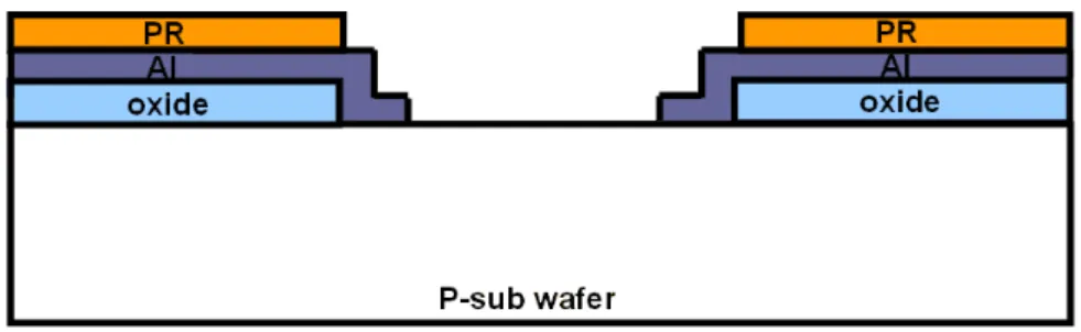 Figure 2.7 The cross-section view of the electrode structure and the PR is photoresistor for  lift-off process