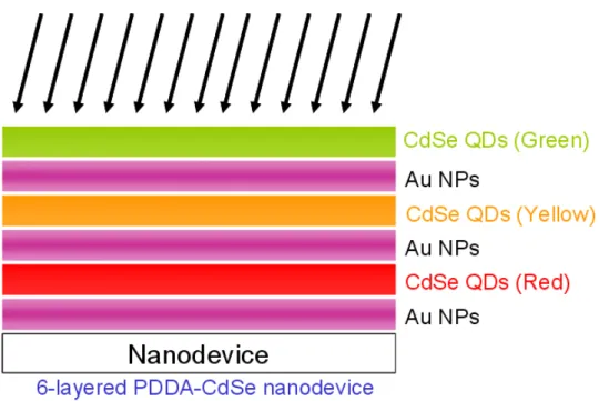 Figure 2.11 The cross-section view of modified nanostructure with Au NPs and three  different-sized PDDA-capped CdSe/ZnS quantum dots