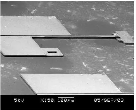 Figure 4 SEM photograph of the fabricated electrothermal microactuator using Ni-diamond nanocomposite plated with the concentration of 2 g/L  nano-diamonds
