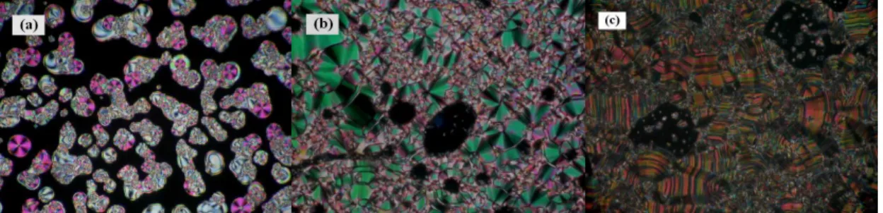 Figure  2.4.  POM  textures  at  the  cooling  process:  (a)  the  till  smectic  phase  with  spherulite  and  schlieren  texture  of  complex  I-A12  at  100  °C;  (b)  the  till  smectic  phase  with  the  fan-like  texture  of  complex  I-B12  at  130 