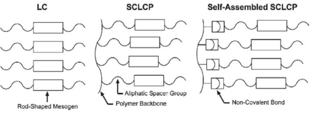 Figure 1.2.1    Schematic illustration of the structural components used to fabricate 