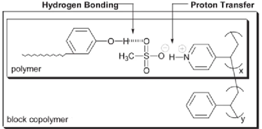 Figure 1.2.3  Complexes formed as a result of hydrogen bonding and proton 