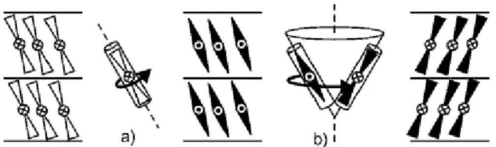 Fig. 1-4-3.1  極性切換的機制 a) 沿分子長軸旋轉 b)沿傾斜圓錐旋轉  白色及黑色分子代表相反旋光性 