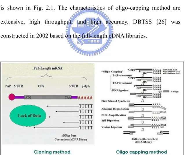 Figure 2.1 The comparison between the cloning method and the oligo-capping  method. 