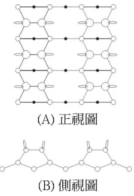 圖 1.2.5  矽(100)-2 × 1 表面重構後的正視與側視圖(圓圈愈小表示為愈內層 的原子)。  因此我們可以明顯的看出它是矽(100)-2  ×  1 的結構，然而由於π和π * 態 的鍵結非常弱，只要有外來的原子接近樣品表面時，就很容易打斷此鍵， 而與外來的原子形成鍵結，如圖 1.2.6 所示。當氯氣分解且飽和吸附於整個 矽(100)表面時，表面的矽皆只與一個氯原子鍵結，我們稱氯的曝氣量為 1ML  (Monolayer)，此時表面稱為氯/矽(100)-2 × 1。  圖 1.2.6  矽(10