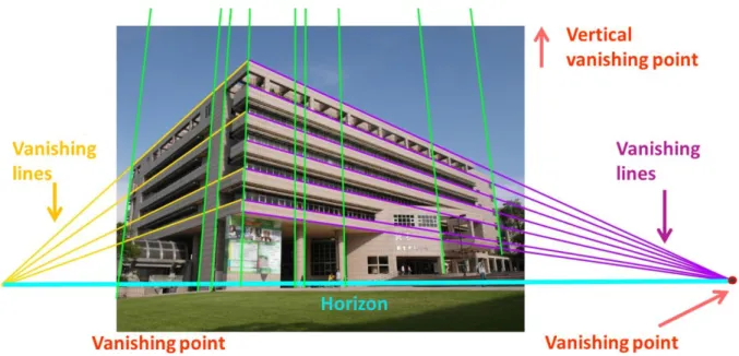 Figure 3.2    A example of vanishing points and vanishing lines 