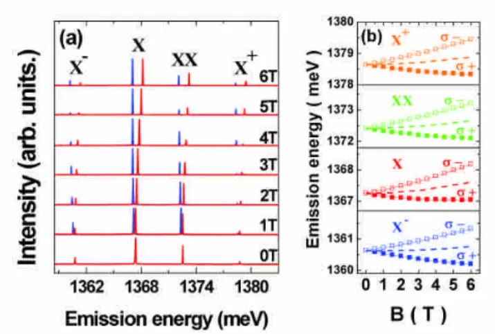 Fig. 1: (a) The magneto-PL spectra for QD1 under a magnetic field B = 0-6 T. (b) The corresponding peak energies of different excitonic species as a function of B for QD1, where σ - and σ + in each form a Zeeman doublet