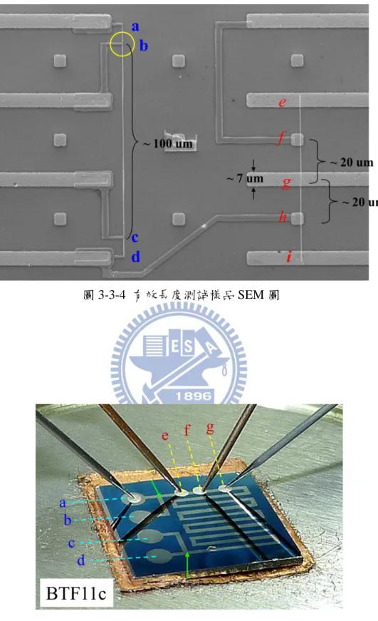 圖 3-3-4  有效長度測試樣品 SEM 圖 