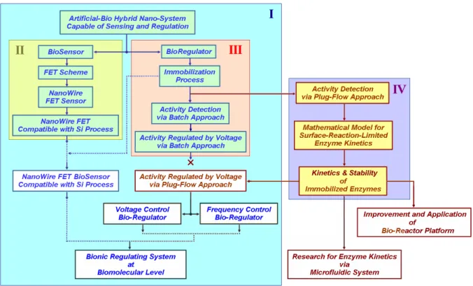 Figure 1. Research flowchart: Block I is the research flowchart for the project “An Artificial- Artificial-Bio Hybrid Nano-System Capable of Sensing and Regulation;” Block II shows the stage of  research and development for “Nanowire FET Compatible with Si