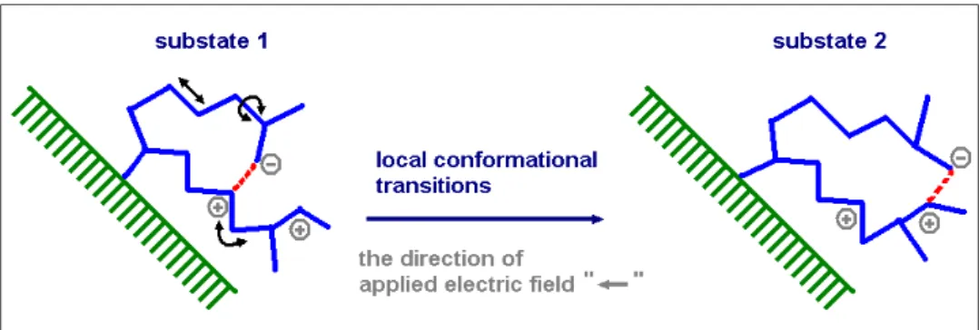 Figure 2 The local conformation of immobilized biomolecule, under an electric field, is  changed from substate 1 to substate 2