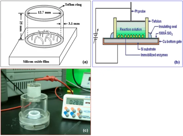 Figure 12 (a) Schematic diagram of the home-made apparatus for immobilization of  sulfotransferase onto the silicon dioxide surface; (b) schematic diagram for the pilot apparatus  of bio-reactor regulated by electric field; (c) real setup of test platform 