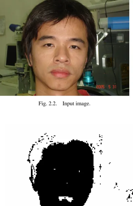 Fig. 2.2.  Input image.   