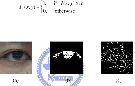 Fig. 3.2    An eye region image of edge field and intensity field. (a) Input image.    (b) Intensity field