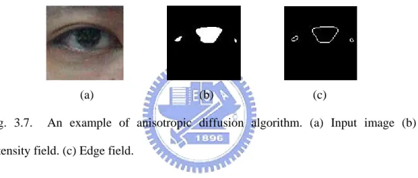 Fig. 3.7.  An example of anisotropic diffusion algorithm. (a) Input image (b)  Intensity field