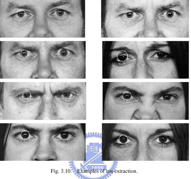 Fig. 3.10.    Examples of iris extraction.     