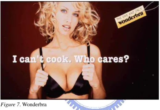 Figure 7. Wonderbra 