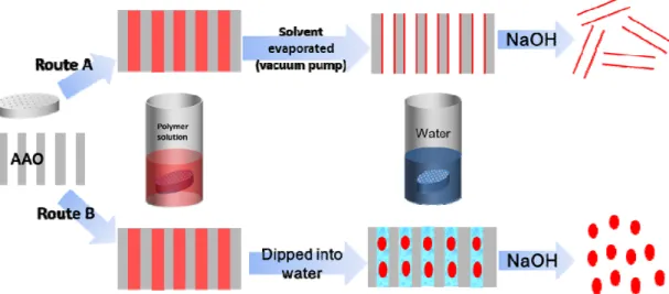 Figure 1. The illustration of the experimental processes. For route A, the sample is dried directly using a  vacuum pump without adding water, and polymer nanotubes are obtained