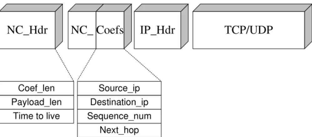 Figure 4.2: The format of a network-coded packet