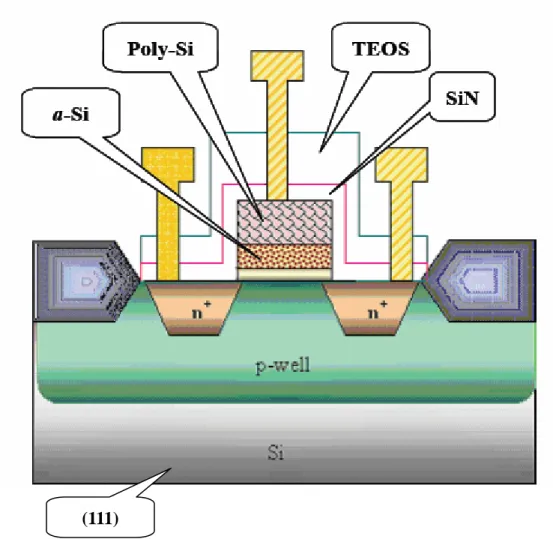 Fig. 2-1 Schematic cross section of the local strained channel nMOSFET on (111)    substrate
