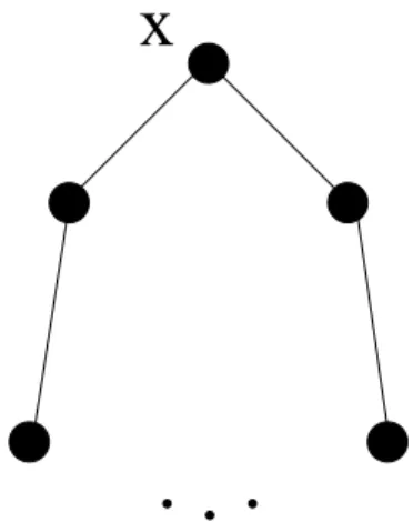 Figure 3.4: A Type I in Q k 1 , for all k ≥ 5.