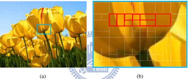 Figure 3.3 An image in an XPS document with a message embedded in it. (The edges of  the blocks are emphasized on purpose in order to show the result.) (a) The  entire  image  with  division  patterns  superimposed  (not  seen  in  real  appearance)