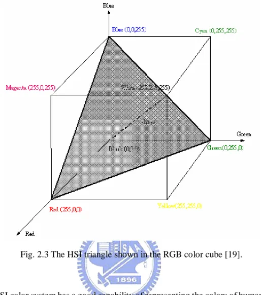 Fig. 2.3 The HSI triangle shown in the RGB color cube [19]. 