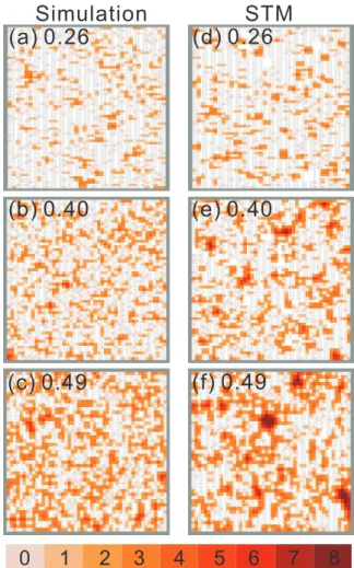 FIG. 4: STM images of the Cl/Si(100)-2×1 surface after 12 L apparent dosages of H atoms at a sample temperature of 600 K