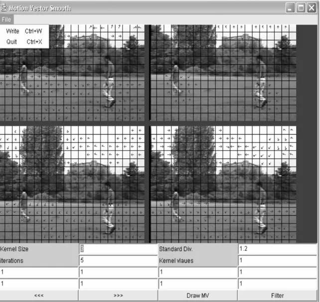 Figure 7: The user interface for motion vector smoothing. 