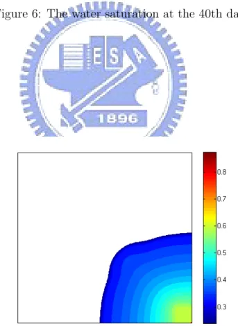 Figure 7: The water saturation at the 80th day.