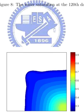 Figure 9: The water saturation at the 160th day.