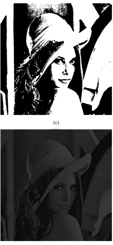 Figure 3.8 Input binary images, stego-images with secret data, and differences. (a)  Binary image “Lena”
