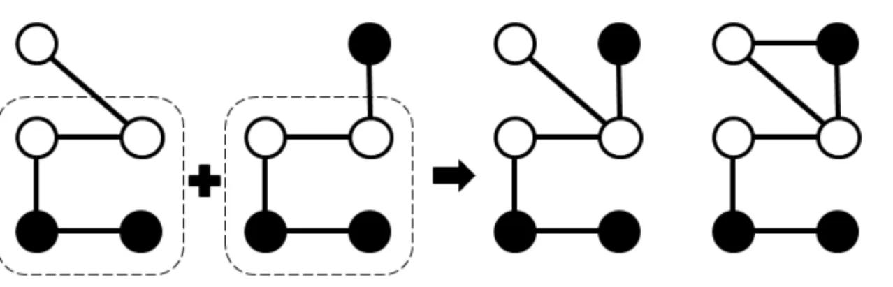 Fig. 2-1: AGM: Two graphs generated by joining two paths. 