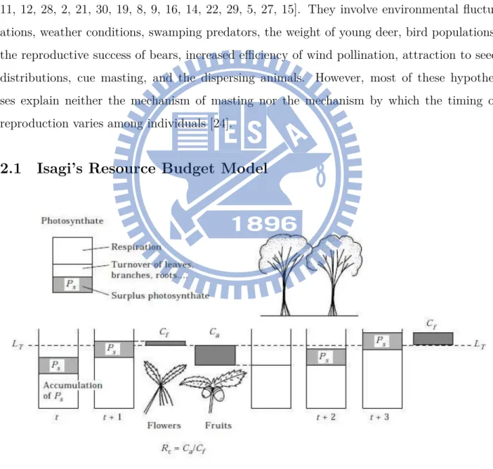 Figure 1: Resource budget model of an individual plant.