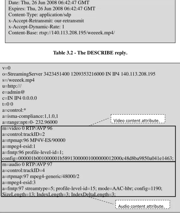 Table 3.2 - The DESCRIBE reply. 