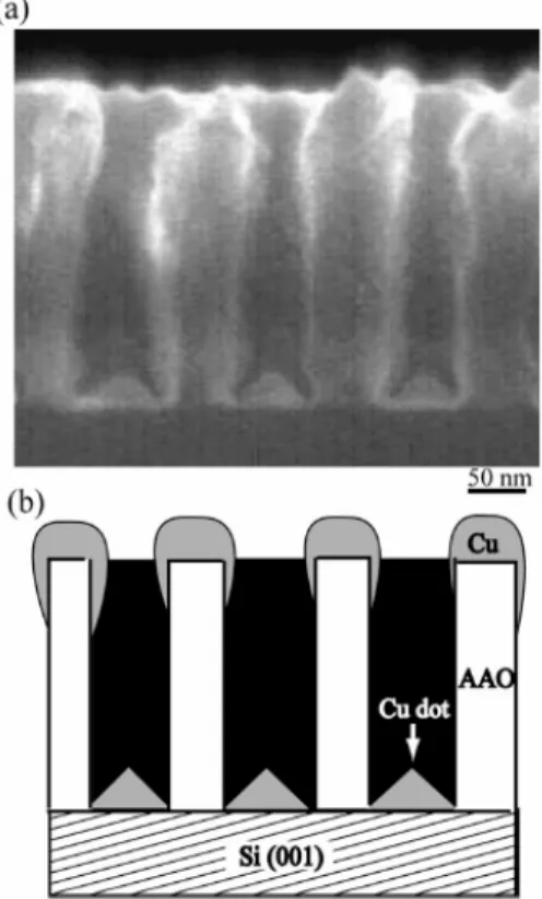 Fig. 2-16 奈米電容器陣列的製作流程圖 [36] 首先以多孔性氧化鋁當模板，接著沉積金屬電極(銀或鉬)在氧化鋁模板底部，電 極完成後，以 CVD 鍍上碳以代替金屬，然後再鍍上絕緣層(Boron nitride)，之後 在絕緣層上鍍碳，便完成了奈米電容器陣列於氧化鋁內，最後在氧化鋁模板頂部 鍍上電極。  成長奈米點陣列[37]      由於多孔性氧化鋁的孔洞直徑大約為幾十奈米至一百奈米左右，且孔洞直徑 可以藉由陽極氧化的條件來控制，因此利用這樣的優點來成長奈米點，在此以論 文(Tomohiro Sh