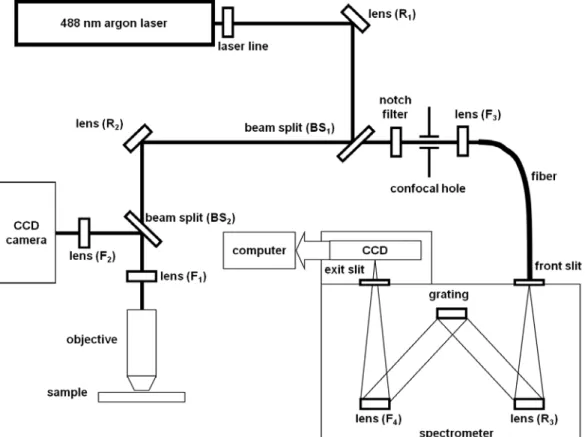 Fig. 2-7  Schematic diagram of micro-Raman system. 