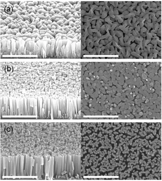 Fig. 3-2  SEM images in the tilted (left) and plan (right) views of the vertically  aligned GaN nano-rods grown on Si(111) at the same V/III ratio with growth  temperature at (a) 800 o C, (b) 830 o C, and (c) 860 o C, respectively