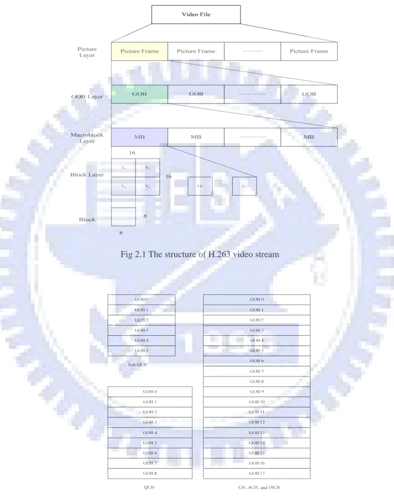 Fig 2.1 The structure of H.263 video stream 